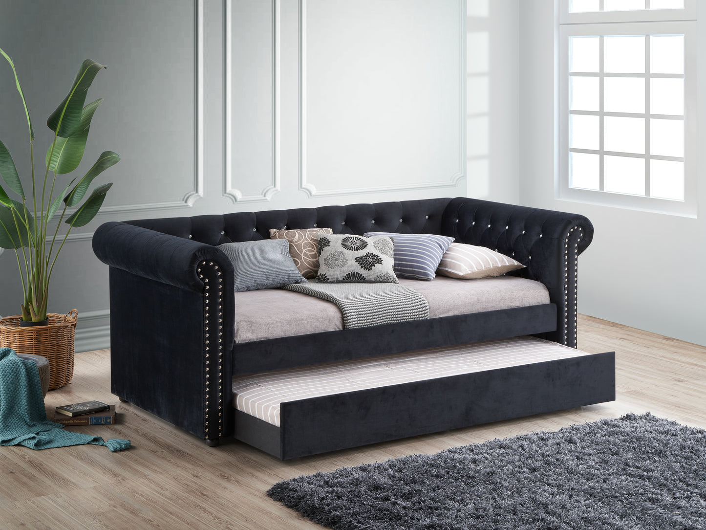 ELLIE BLACK DAYBED (CM)